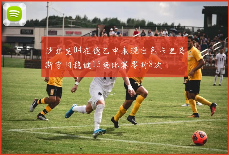 沙尔克04在德乙中表现出色卡里乌斯守门稳健15场比赛零封8次