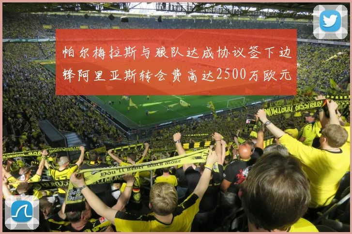 帕尔梅拉斯与狼队达成协议签下边锋阿里亚斯转会费高达2500万欧元